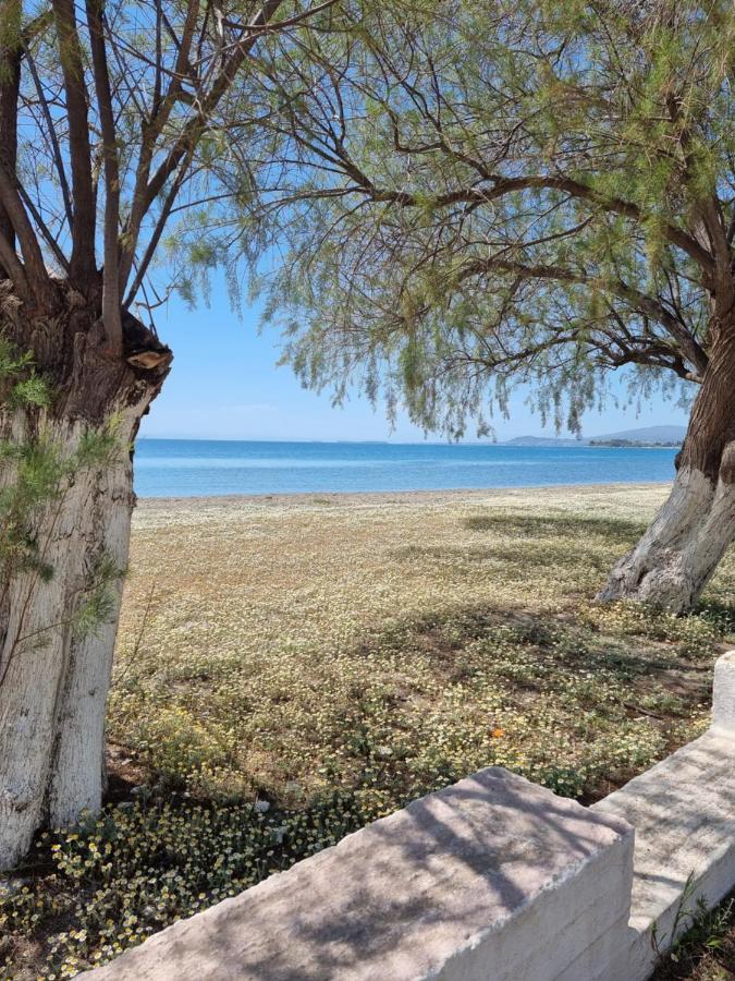Aparthotel To Kyma Amarynthos Exteriér fotografie